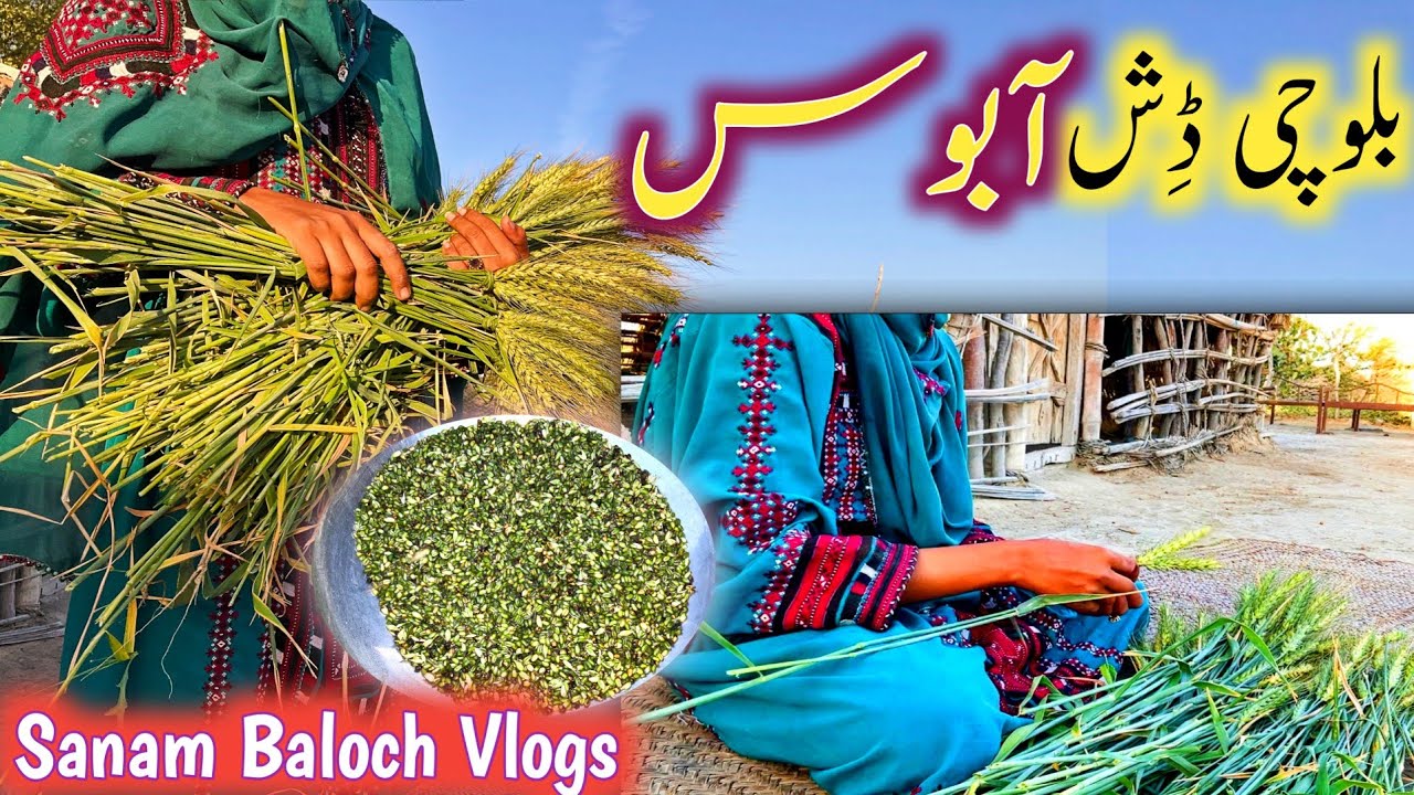 Balochi Vlog | Aabos Kutag Maa | Baloch Family Village Vlogger | Sanam Baloch | Baloch Vlogger