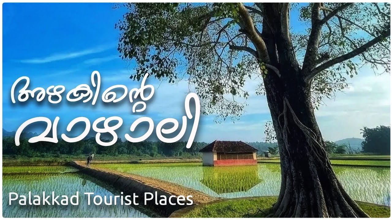 Vazhalikkavu Bhagavathi Temple | Palakkad Tourist Places | Palakkad Village Trip | Kerala Tourism 