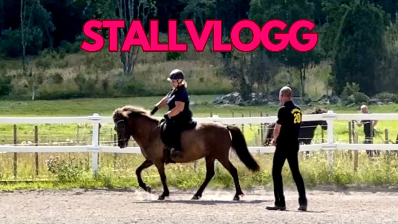 STALLVLOGG - åker på träning med en av hästarna