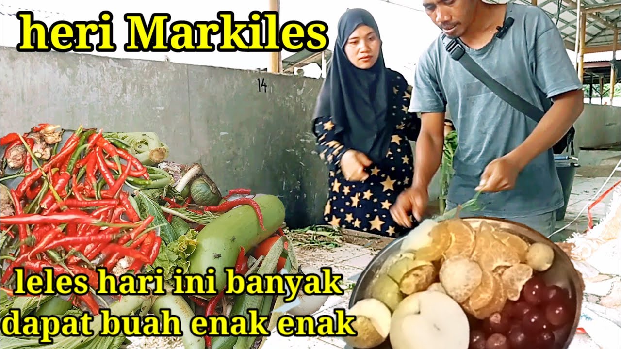 leles hari ini dapat buah banyak karena istri ikut markiles || herimarkiles