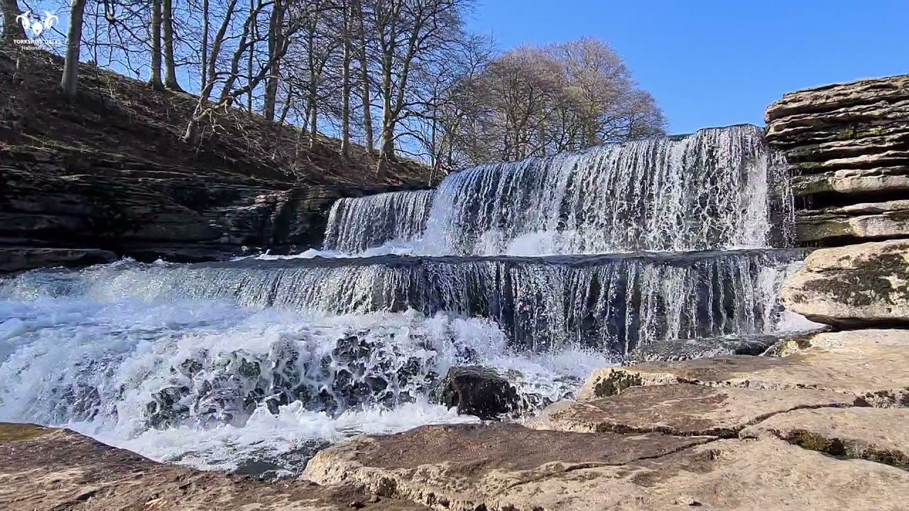 Aysgarth Falls Walk