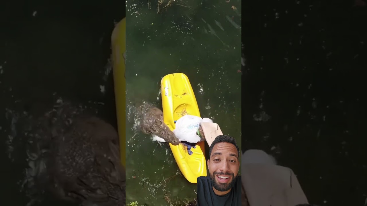 Ataque de crocodilo