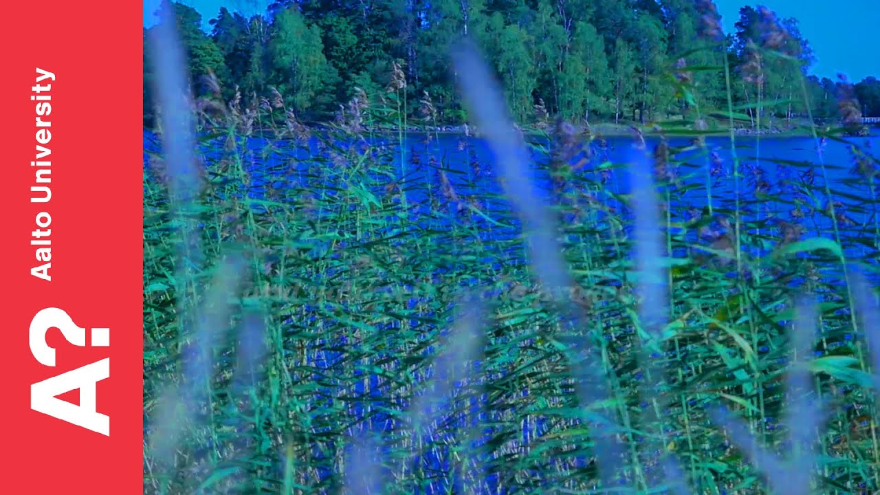 Master’s Programme in Water and Environmental Engineering - Aalto University