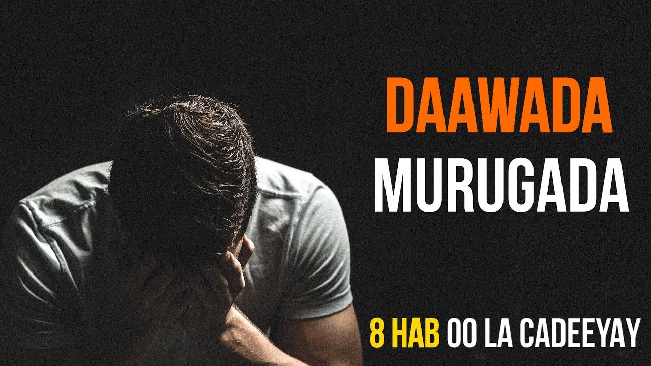 8 Hab Oo La Cadeeyay Oo Lagu Daweeyo MURUGADA | KA TAKHALUS MURUGADA