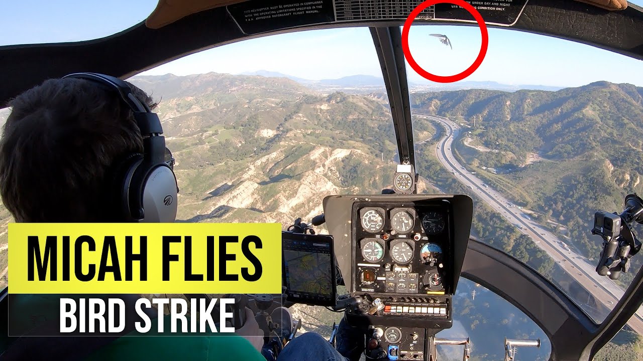 I Hit a Bird With My Helicopter
