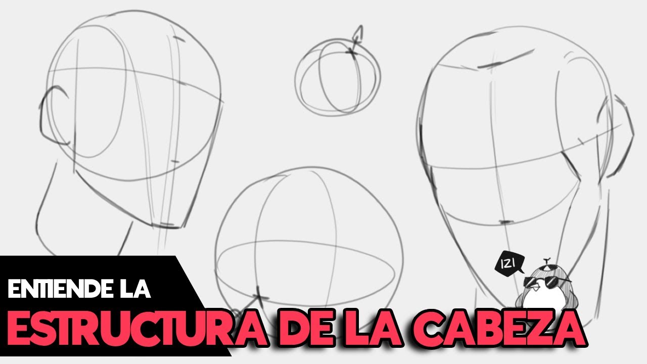 Como dibujar la cabeza (PARTE 1)