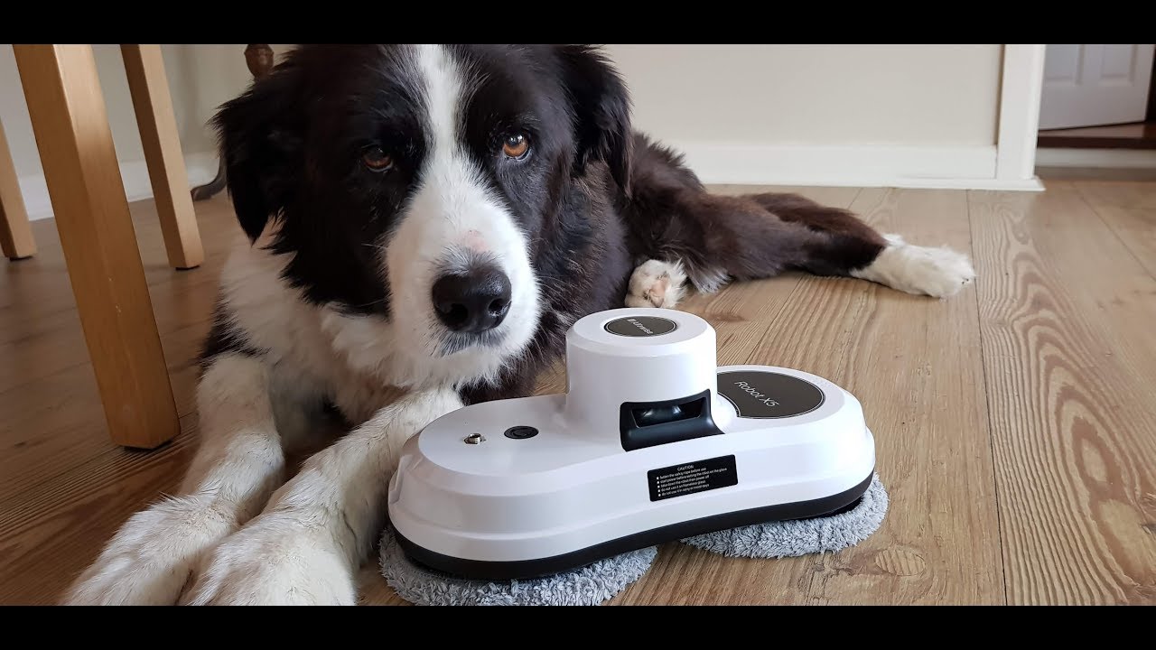 Think before You Buy -  Robot Window Cleaner AlphaWise tested on Windows, floors and tiles