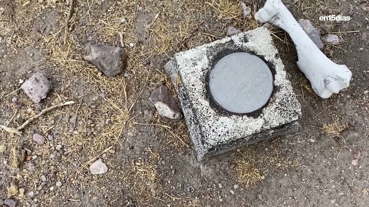LAGO DE CUITZEO: Las mojoneras de Conagua delimitan zona federal del Lago de Cuitzeo en Michoacán