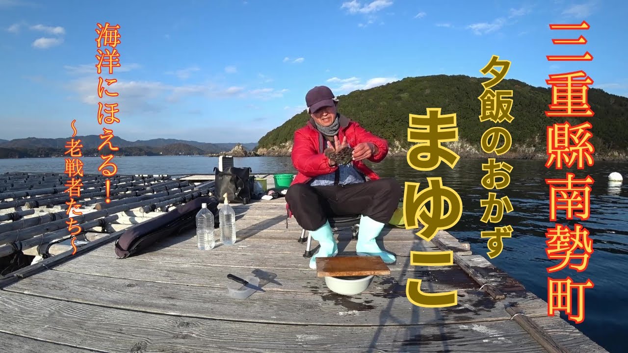 【サリサリ放談】水産部の海洋生物資源調査 夕飯のおかずまゆこ。