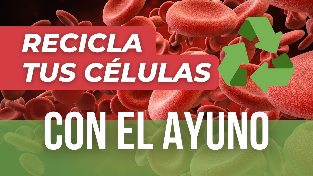 🔄 Descubre el SECRETO de la AUTOFAGIA: Cómo REVONAR Tu Salud CELULAR 🦠