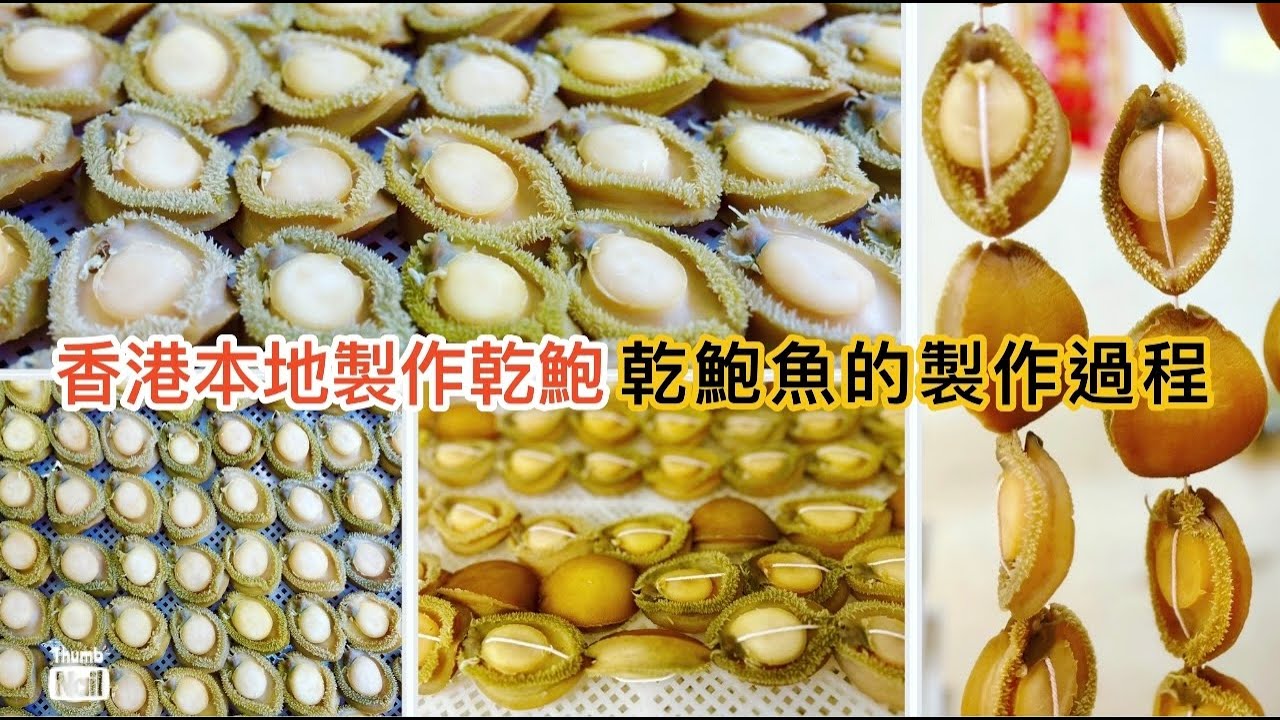 乾鮑魚製作罕有公開 ｜ 香港也有本地製作的乾鮑魚 ｜ 由一隻鮮鮑魚變做乾鮑魚需要多少工序 有三十多年經驗的鮑饌創辦人親自示範製作乾鮑《醉男-醉男啤啤夫系列》