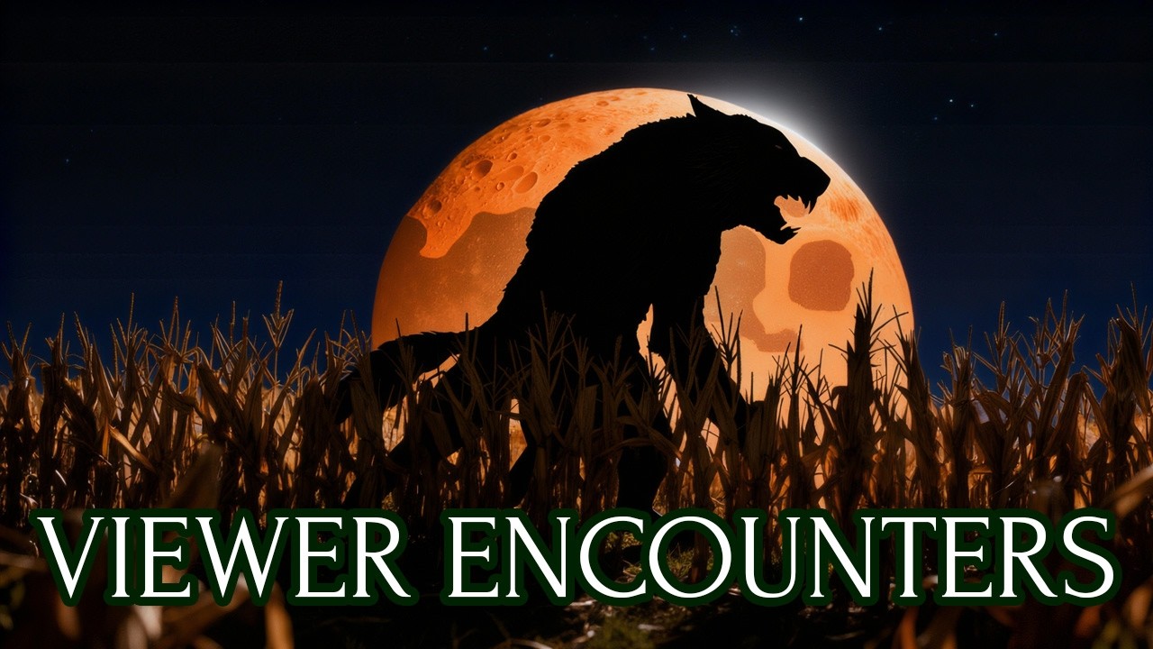 Viewer Encounters with Dogmen