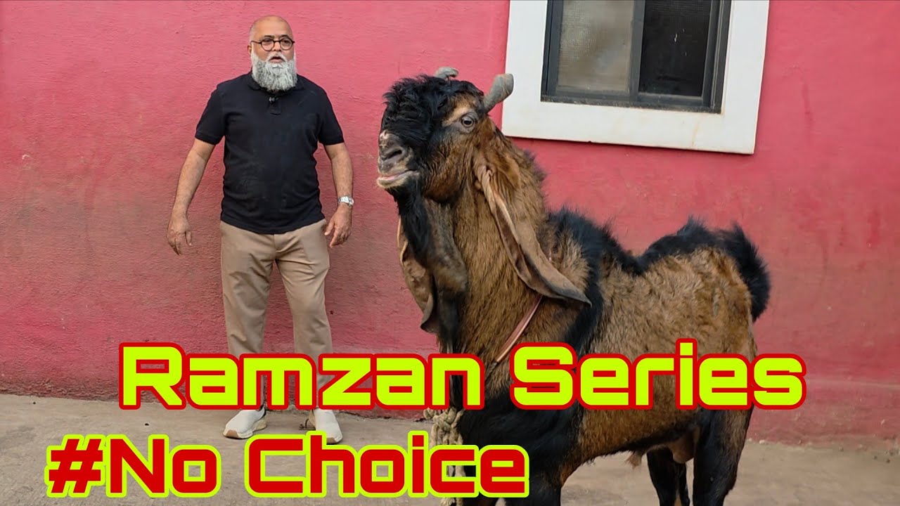 Main Mere Kaam Main Imandar Hun | Joh Burai Karta Hai Usku Mubarak | JD Goat Farm Ramzan Series.