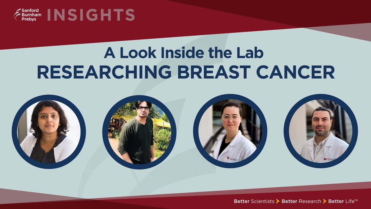 Insights: A Look Inside The Lab &ndash; Researching Breast Cancer