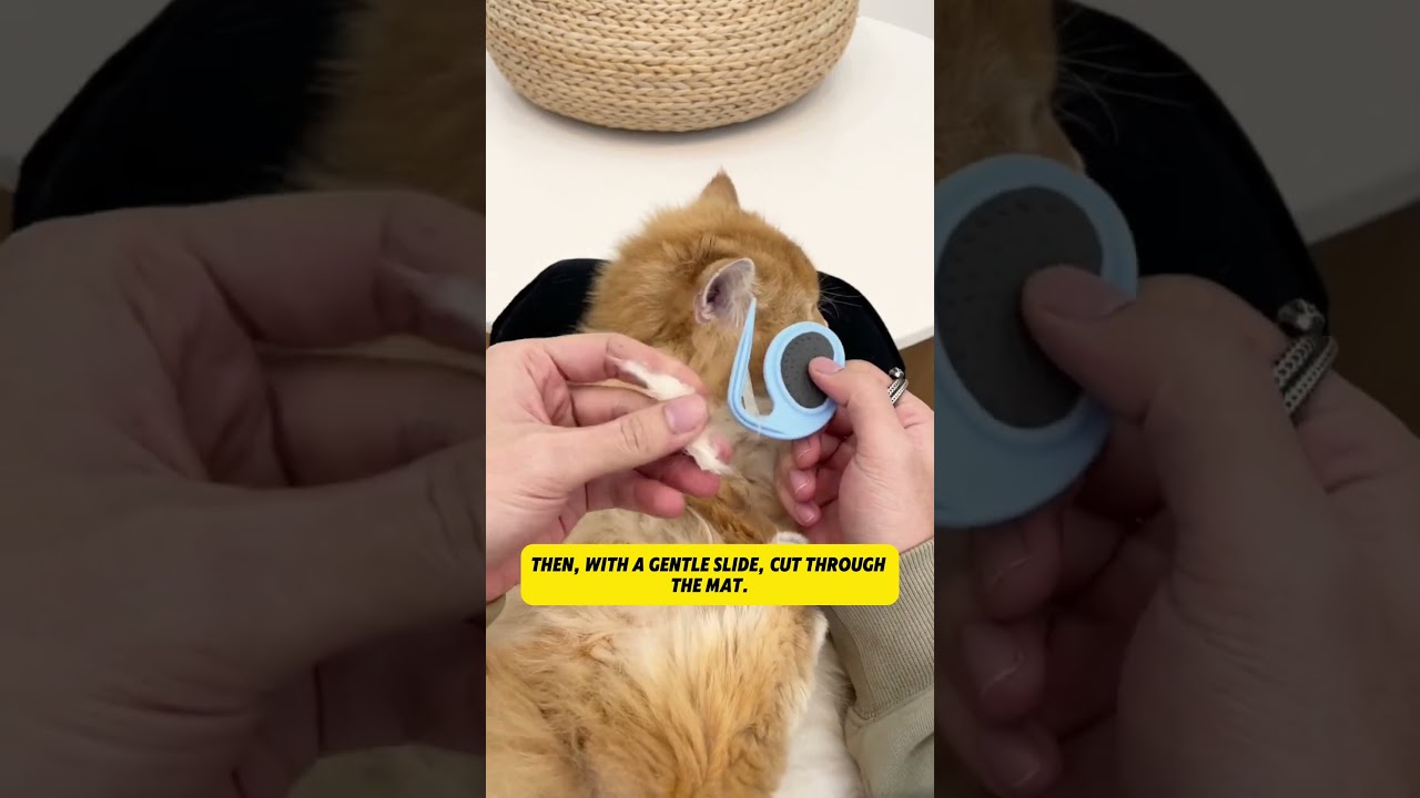 Say Goodbye to Tangles with the Pet Knot-Cutting Blade!