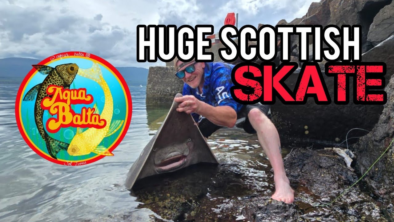 SKATE FISHING FROM SHORE | Scotland | Lochaline | Oban | with Hairy Pollocks fishing |