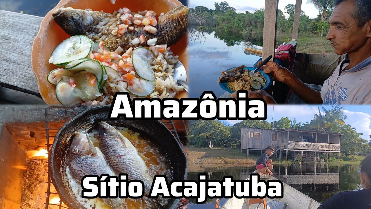 Este sítio é um verdadeiro paraíso com muitas plantas e peixes.lago Acajatuba #rio negro