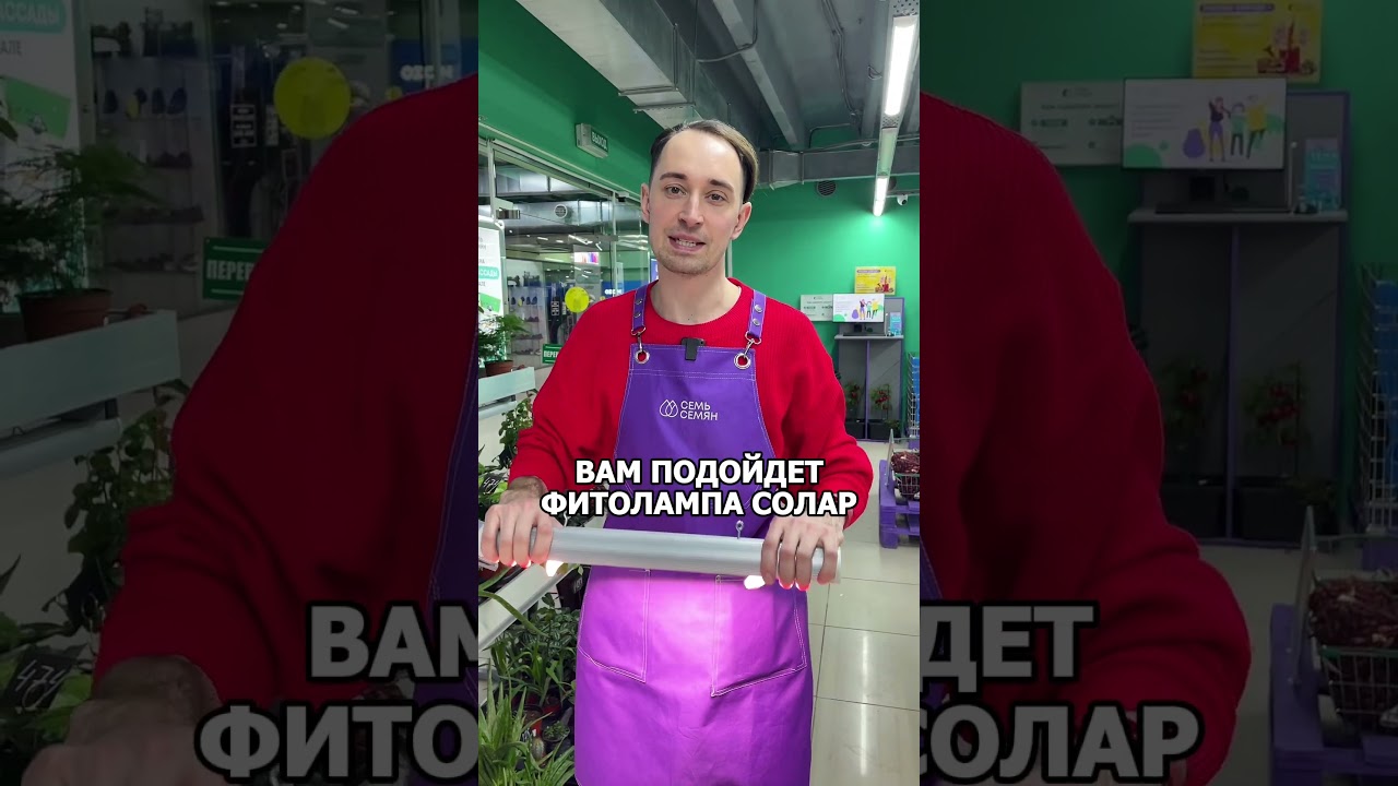 Выбираем фитолампу! Читайте описание⤵️ Приятный бонус в конце