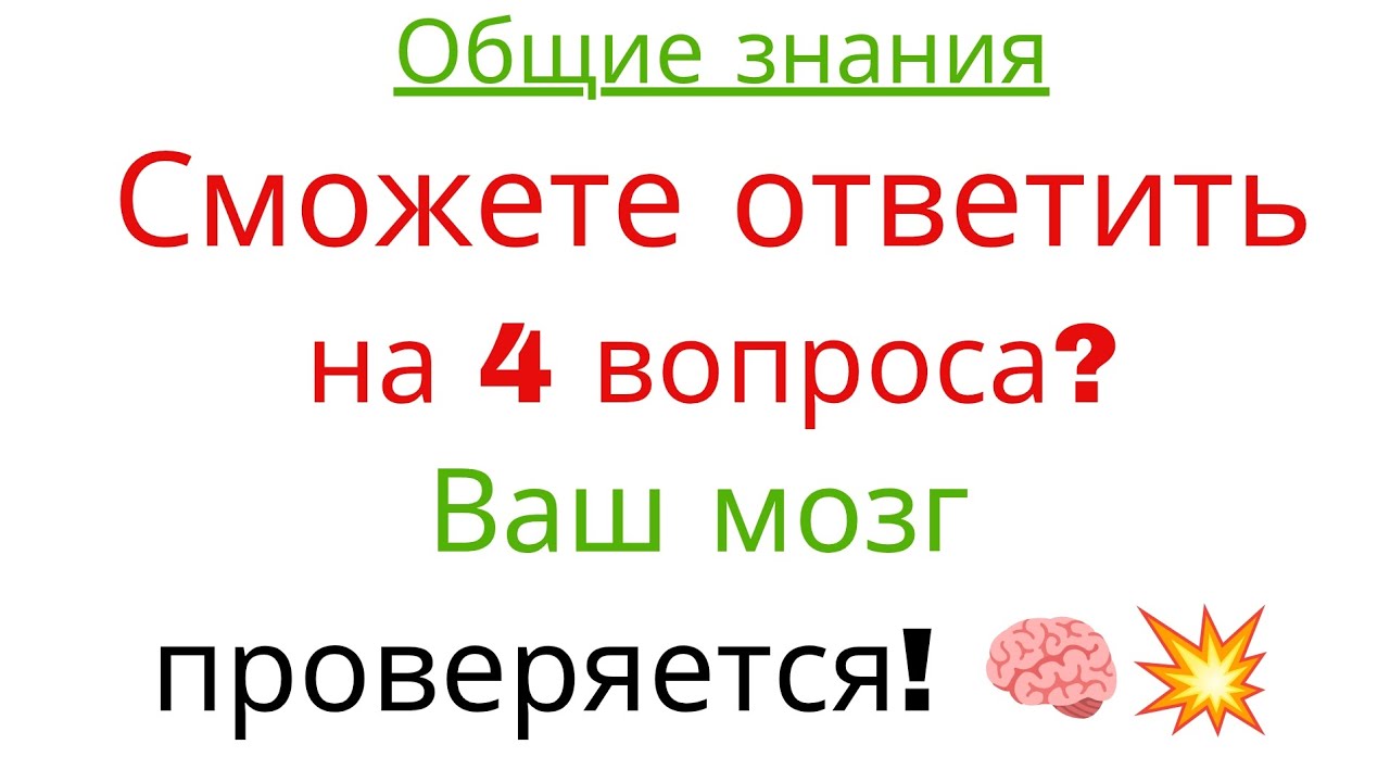 Сможете ответить на 4 вопроса? Ваш мозг проверяется! 🧠💥