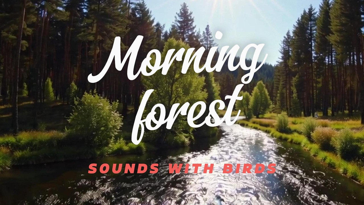 🌿 Morning Forest Birds & Nature Sounds for Relaxation, Focus, Sleep