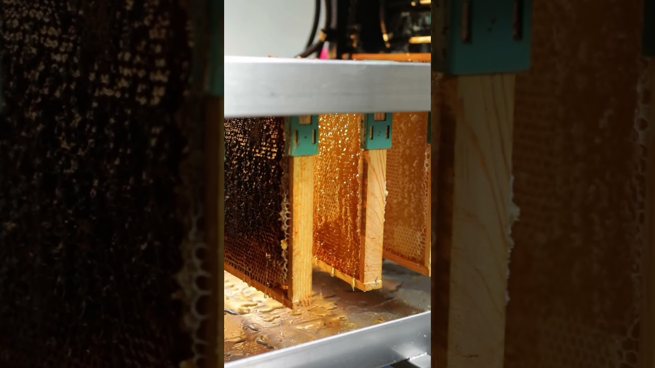 Jak powstaje mi&oacute;d Olini? 🍯