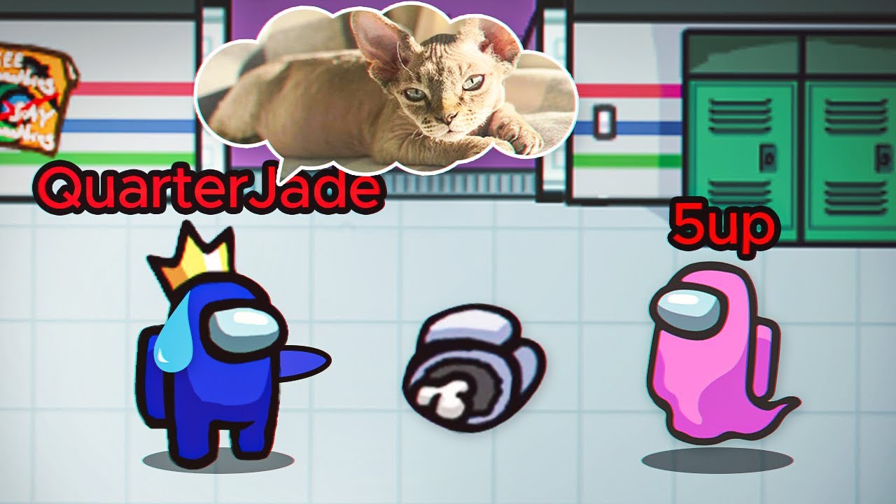 Among Us but my cat is the 3rd impostor