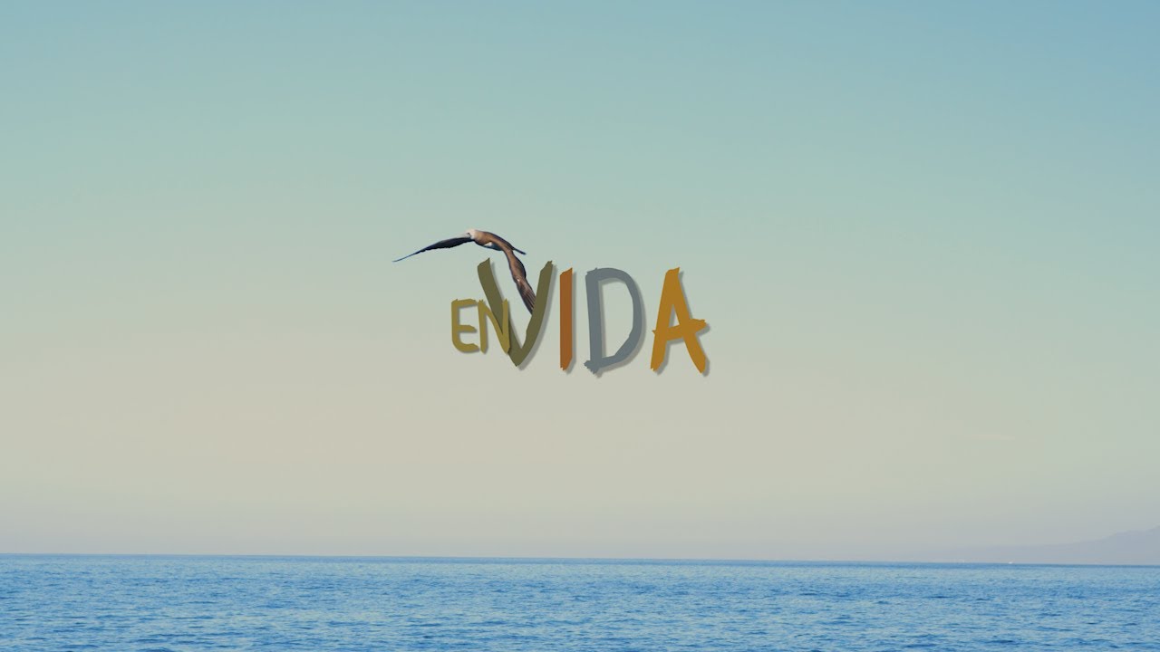 EN VIDA - HUARACHE