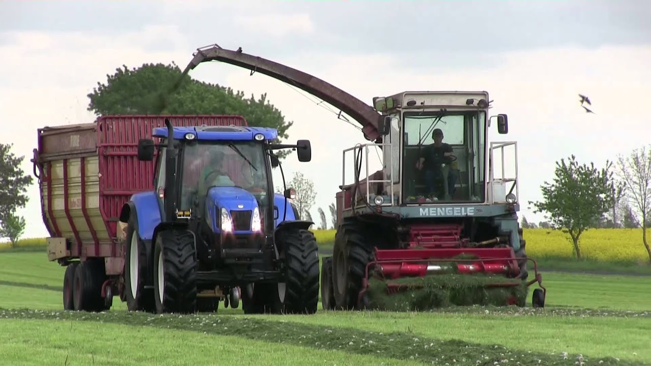 Sianokiszonka 2015 / Grass silage