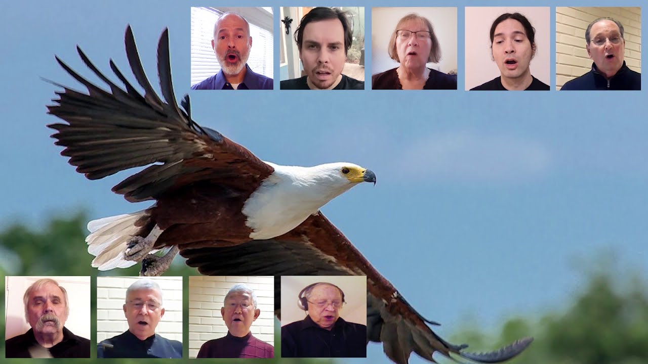 VOICES 'Flight Song' - music by Kim Andr&eacute; Arnesen, words by Euan Tait