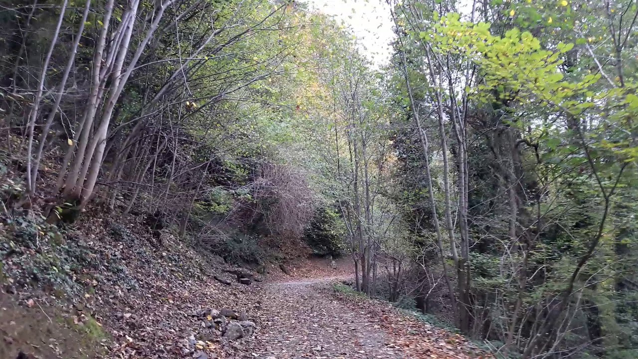 Descente de la Raill&egrave;re en allant vers Cauterets