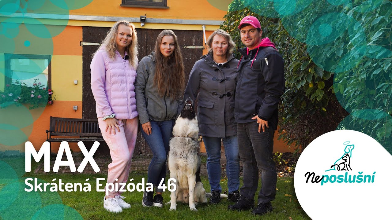 Psík z Ulice, Priamo Na Dvor! MAX (skrátené časti) | NEPOSLUŠNÍ