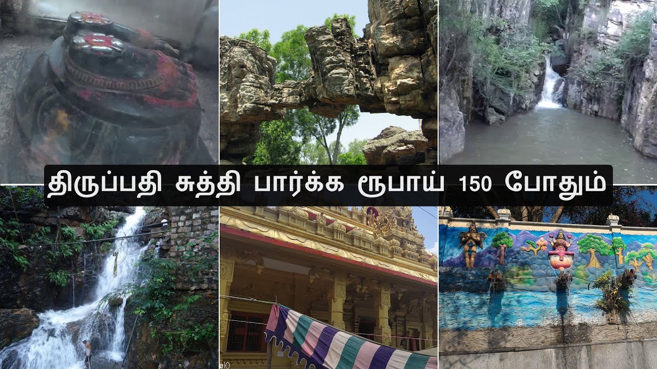 Tirupati places to visit in Rs.150 | Tirumala Day outing | tamil