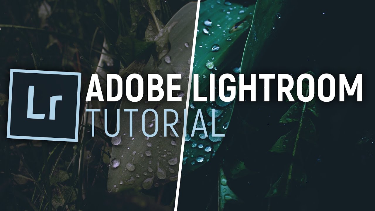 ADOBE LIGHTROOM TUTORIAL - Anf&auml;nger / Grundlagen / Bildbearbeitung | Deutsch / German