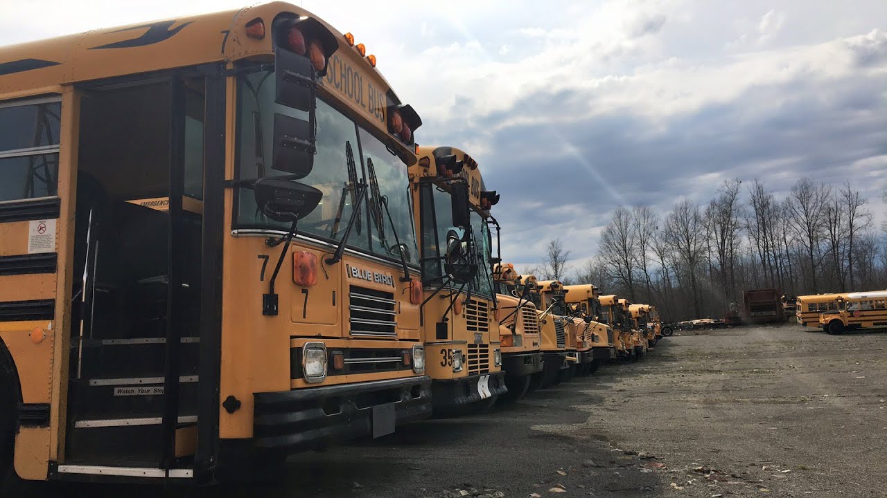 Exploring the Bus Junkyard