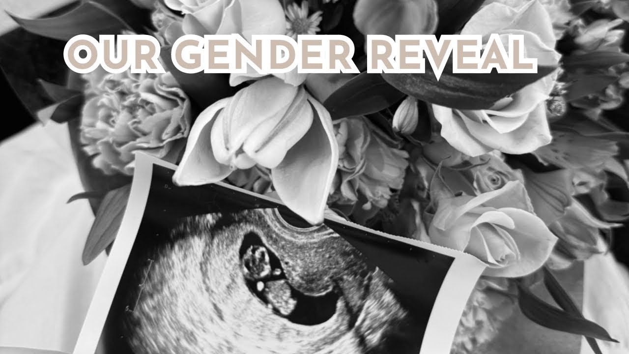Our Official Gender Reveal | The Basham Family