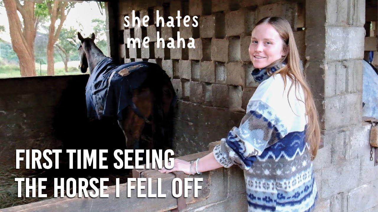 Leaving the house for the first time after pelvic fractures // morgan in bed