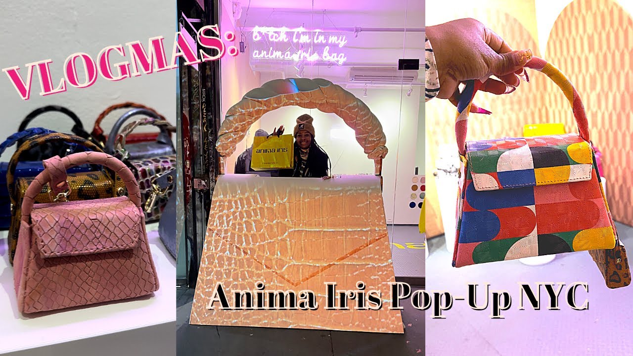 Vlogmas: Anima Iris NYC Pop-Up & Baby Zaza Reveal | Black Owned Handbags, Luxury, Fashion, etc.