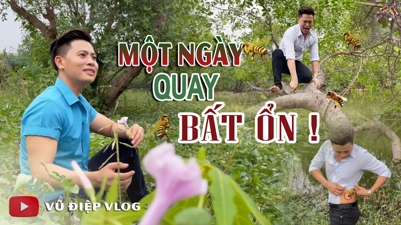 MỘT NGÀY Đi Quay Bất Ổn ! | Thành Viên Bị 🐝🐝🐝 ONG CHÍCH Cười Vỡ Bụng  Chạy Không Kịp