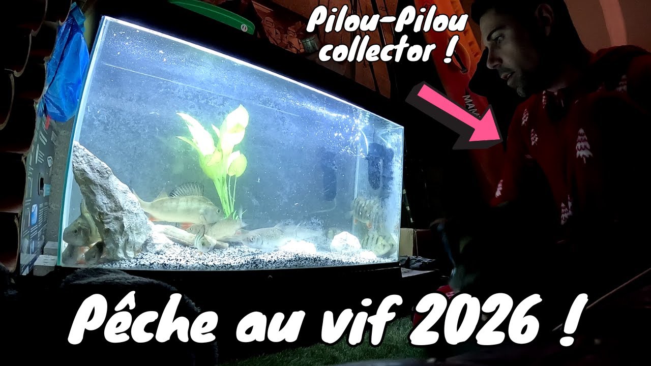LA PÊCHE AU VIF NE RECULERA JAMAIS ! AQUARIUM 2026 !