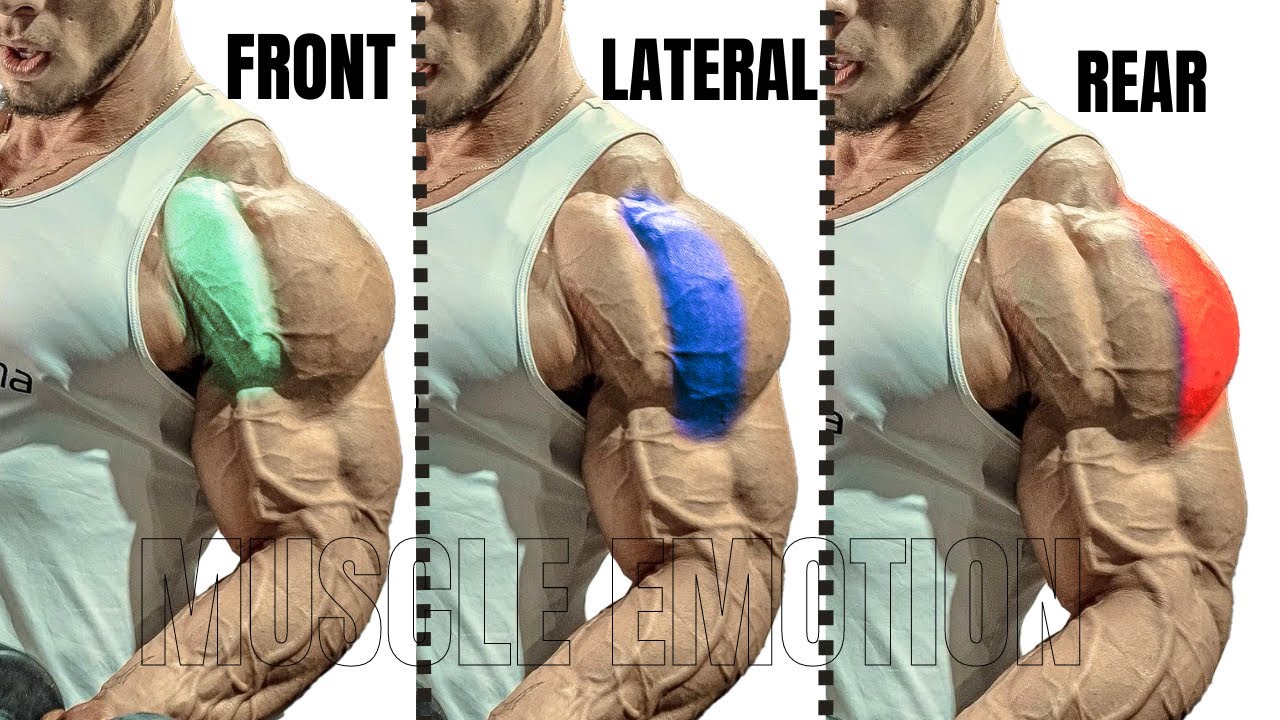 15 BEST SHOULDERS WORKOUT WITH  DUMBELLS BARBELL MACHINE AND CABLE AT GYM