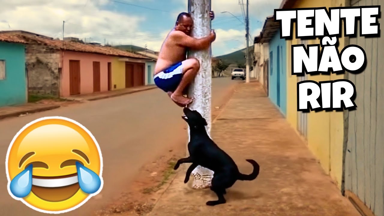 TENTE NÃO RIR: VÍDEOS ENGRAÇADOS 2025 E MEMES - #88