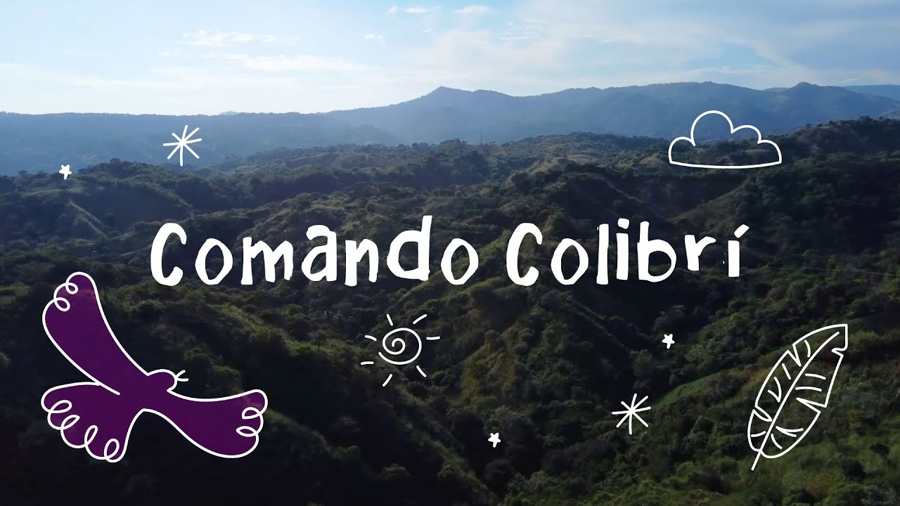 Insumisas. Cuerpo y otros territorios | Comando Colibrí
