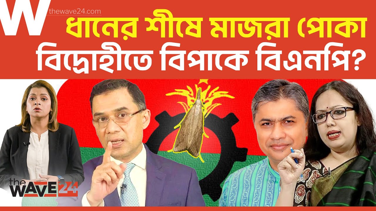 অভ্যন্তরীণ কোন্দলে নড়বড়ে ধানের শীষ? | BNP | Election | Wave24