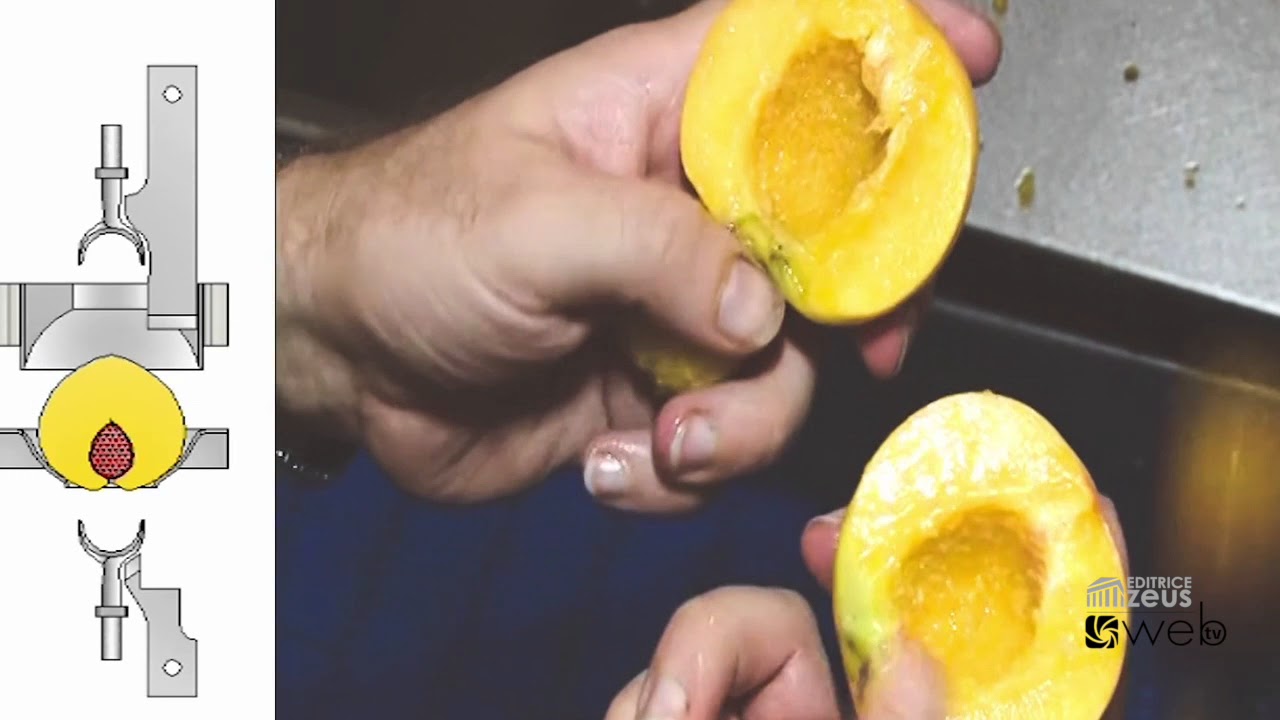 Anuga FoodTec 2018: Omip presents the peach stoning machine