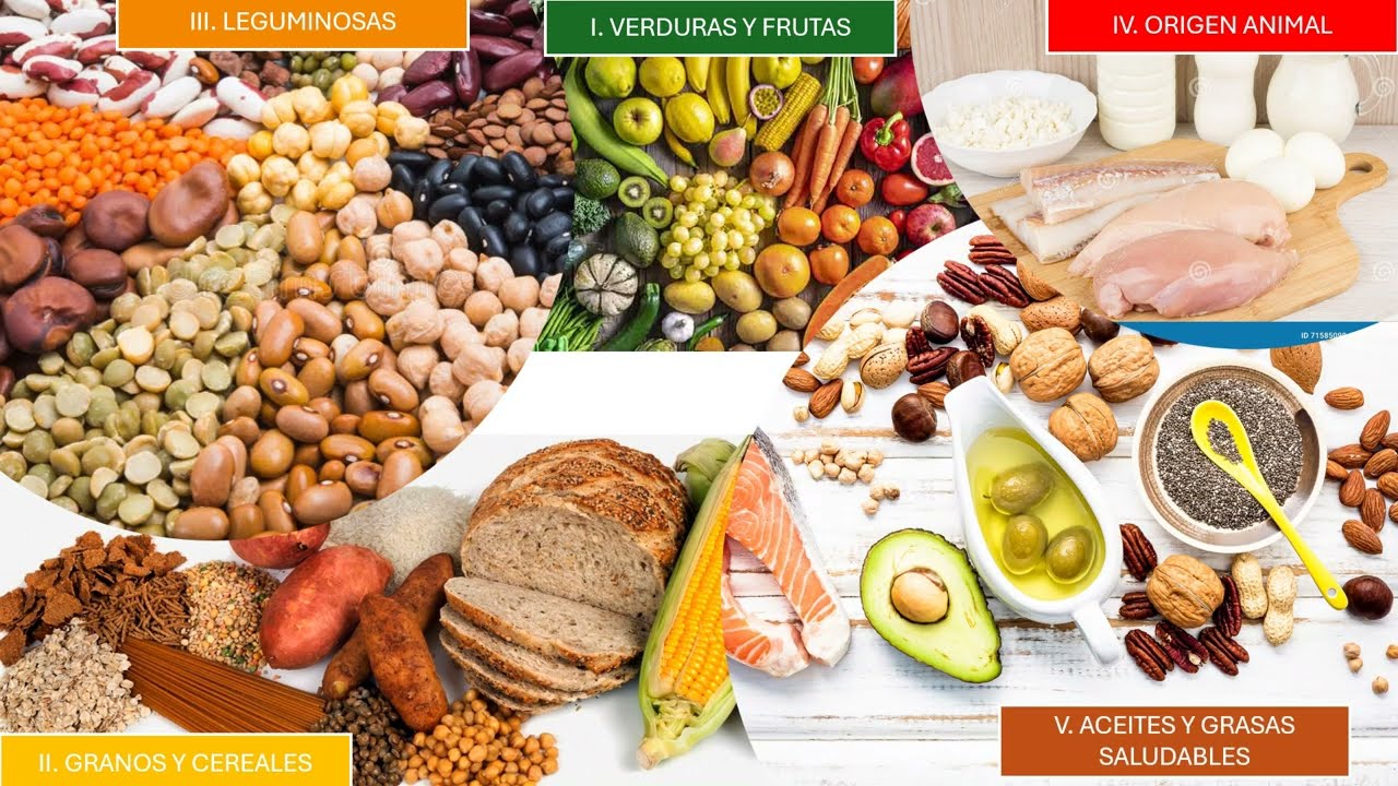 El plato del bien comer
