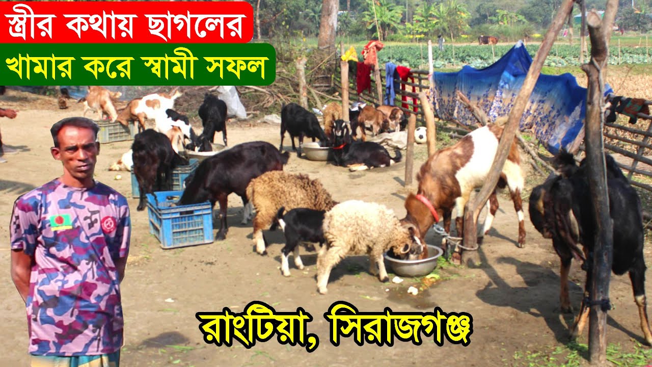 ছাগল পালন লাভ আছে ভাই আমার মধ্যে শিক্ষা না থাকলেও আমি আয় করছি জানালেন এই খামারি | Goat Farm In BD
