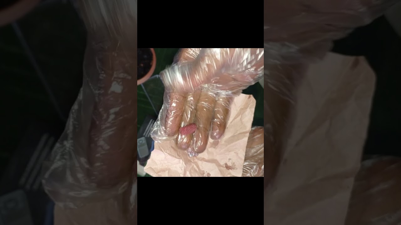 Akseeri Badshahi Tilla khas  The Royal Golden Formula for Men's Health!  