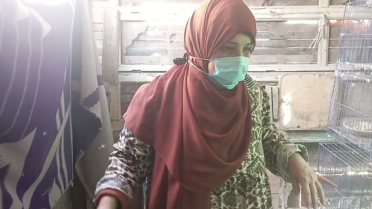 روتين تطهير وتعقيم ورش جير للحمام زالسطح  كله 