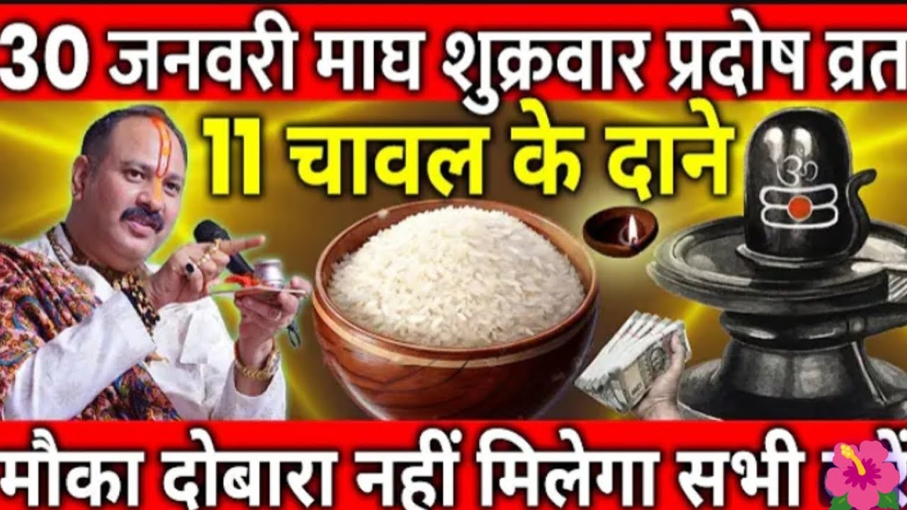 30 जनवरी माघ शुक्रवार प्रदोष व्रत के दिन 11 चावल के दाने वाला उपाय जरुर करे || Pradeep Ji Mishra 