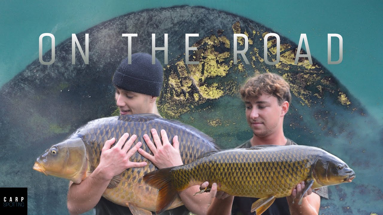 ON THE ROAD | FILM | pêche de la carpe dans le domaine public | 240h